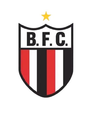 Logo Botafogo-SP